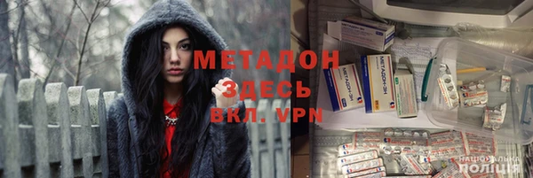 индика Арсеньев