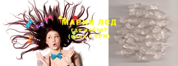 индика Арсеньев