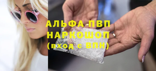 индика Арсеньев