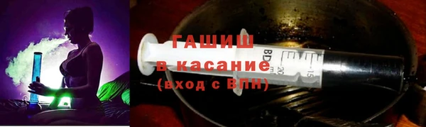 индика Арсеньев