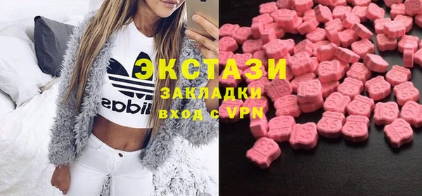 индика Арсеньев
