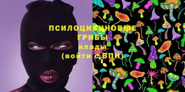 индика Арсеньев