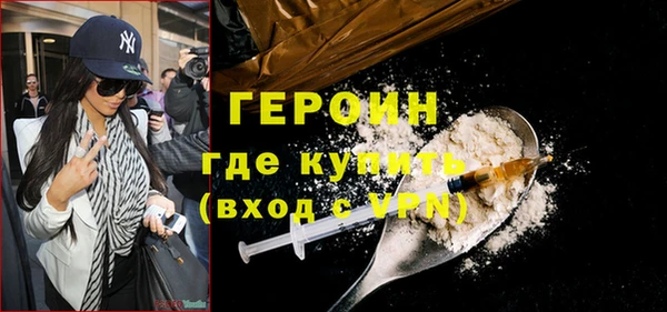 индика Арсеньев