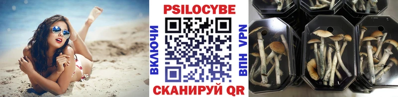 Галлюциногенные грибы прущие грибы  Купить закладки  Темрюк 